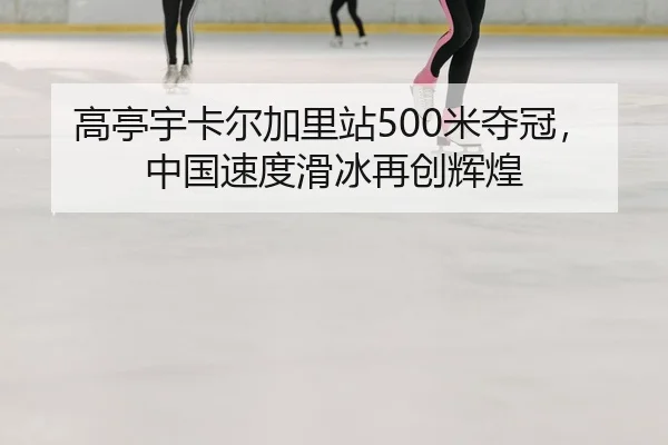 gao-ting-yu-ka-er-jia-li-zhan-mi-duo-guan-zhong-guo-su-du-hua-bing-zai-chuang-hui-huang-3-255.jpg