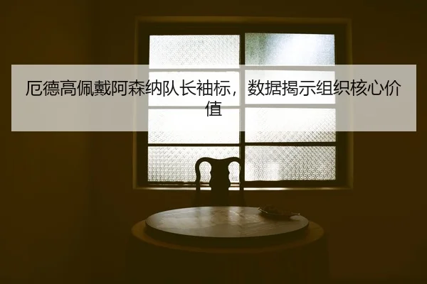 e-de-gao-pei-dai-a-sen-na-dui-zhang-xiu-biao-shu-ju-jie-shi-zu-zhi-he-xin-jia-zhi-2-732.jpg