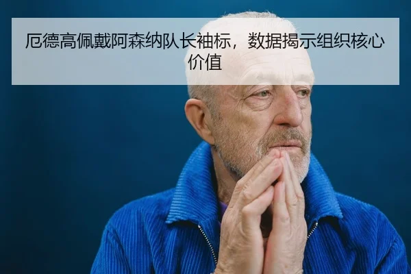 e-de-gao-pei-dai-a-sen-na-dui-zhang-xiu-biao-shu-ju-jie-shi-zu-zhi-he-xin-jia-zhi-3-869.jpg