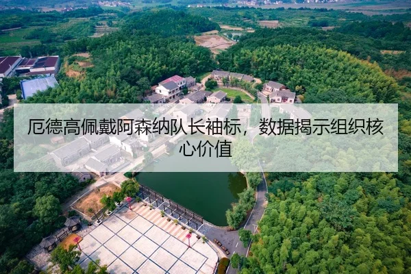 厄德高佩戴阿森纳队长袖标，数据揭示组织核心价值
