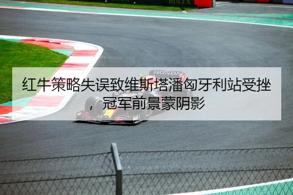 红牛策略失误致维斯塔潘匈牙利站受挫，冠军前景蒙阴影